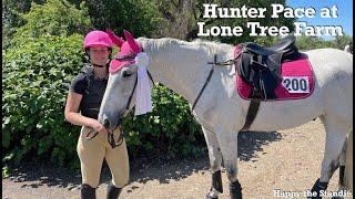 Hunter Pace at Lone Tree Farm | Happy the Standie