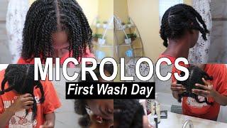 Microlocs Starter Locs First Wash Day