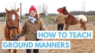 How to Teach a Horse Ground Manners (Easy Methods)