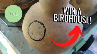 How To WIN a Birdhouse! Upcoming Live Stream, Pollination Tips, Projects, & MORE! P&Js VLOG