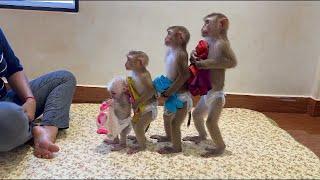 Clever Sovan, Sovanny, Jula & Kobie Standing Up Very Mannerly Waiting Mom To Dressing Up For Them!!