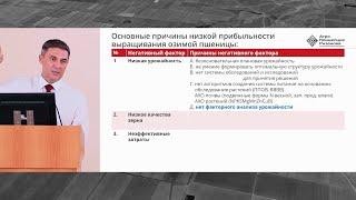 Высокий белок в пшенице. Стратегия прибыльного производства | Сергий Ризанов | Агроном