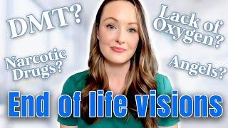 End-of-Life Visions: Proof of an Afterlife or Hallucinations?