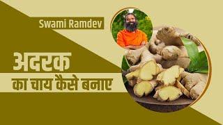 अदरक (Ginger) का चाय कैसे बनाए || Swami Ramdev