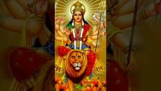 Jai jwala maa ️|| #shorts #short #matarani