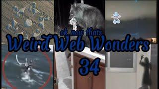 Weird Web Wonders  VOL 34