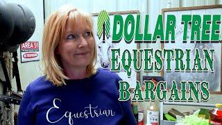 Budget-Friendly Equestrian Must-Haves from Dollar Tree- Watch to the End!!!