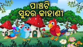 5 Special Kahani | Birds Story | Cartoon Story | Zoo Joo Tv | Tiki Chadhei Gapo | Odia Bird Story