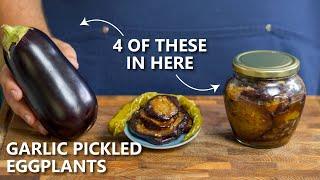  The pickled Eggplants I eat with ANYTHING