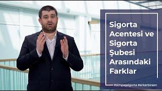 Sigorta Acentesi ve Şubesi Arasındaki Farklar