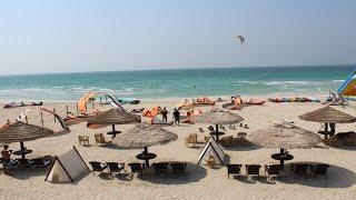 The Best Beach in Umm Al Quwain That Are Dog-Friendly - have to try!