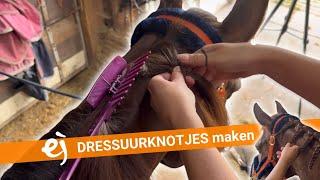 HOW TO: Dressuurknotjes / roosjes maken | #4 | EPPLEJECK | #GIVEAWAY