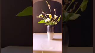 White Calla Lilies and Plum Blossoms: A Harmonious Floral Display #flowers