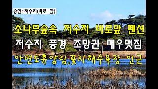 [번호 436946] 충남 태안군 안면도 소나무숲속 승언저수지앞 독채 펜션매매 팬션 급매매 전원주택 급매물 풍경멋짐 안면도자연휴양림 수목원 꽃지해수욕장 방포항인근 펜션 부동산직거래