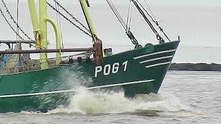 JAN POG1 DQQH MMSI 211590000 shrimp trawler Kutter Emden fishery vessel Dollart Emsrevier Unterems