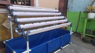 DIY : How To Build Aquaponic System (Part 1)