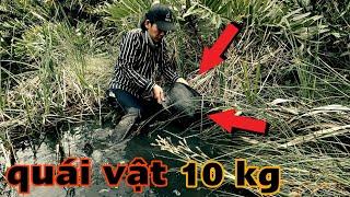 Thăm lờ cá gặp con QUÁI VẬT nằm giữa đường khổng lồ nặng 10 ký | Giant tortoise