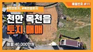 [매물번호 #11] 천안시 동남구 목천읍 지산리 토지매매 4억