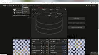 Играю в турнире по шашкам
