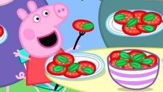 Heo Peppa | Dã ngoại | Tập đầy đủ | Heo Peppa Tiếng Việt | Phim Hoạt Hình