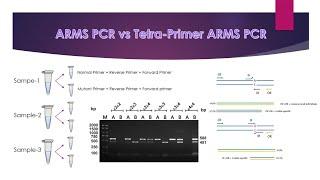 شرح کامل تکنیک ARMS-PCR و مقایسه آن با Tetra-Primer ARMS-PCR به زبان فارسی