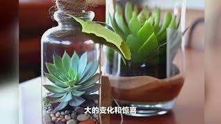 诚我在诚品绿仓多肉植物展的幸福之旅，你也来吧！诚品绿仓－－悠然　自然　卓越