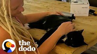 Neighbor Cat Insists On Having Sleepovers With This Couple | The Dodo