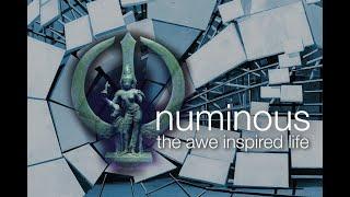 NUMINOUS: TURIYA AND THE AWE INSPIRED LIFE WITH RAJA CHOUDHURY