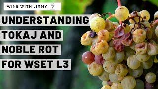 WSET Level 3 Tokaj Part 1 - Climate, Noble Rot, Key Grapes