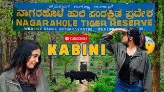 KABINI forest safari ಕಬಿನಿ ಅರಣ್ಯ ಸಫಾರಿ| complete guide | time | booking | ಕನ್ನಡ