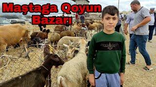 Maştaga Qoyun Bazarı 24 iyul 2022 #elixezer #mastagamalbazari #mastagaqoyunbazari