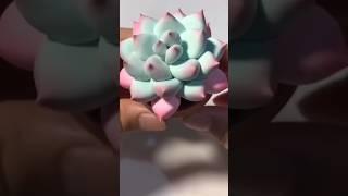 Miniature Cactus  @Shreedhicrafts #subscribe #shreedhicrafts #miniatures #miniplant #cactus