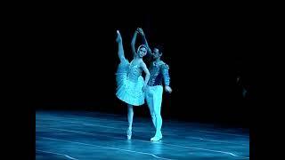 Swan Lake (excerpt) - Polunin/Ryzhkova