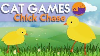 Baby Chick CHASE - Games for Cats on Screen