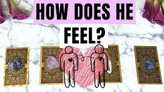 The Truth of Their Feelings for You Pick a Card In-Depth Timeless Love Tarot Reading