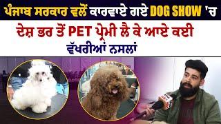 ਪੰਜਾਬ ਸਰਕਾਰ ਵਲੋਂ ਕਾਰਵਾਏ ਗਏ Dog Show 'ਚ ਦੇਸ਼ ਭਰ ਤੋਂ Pet ਪ੍ਰੇਮੀ ਲੈ ਕੇ ਆਏ ਕਈ ਵੱਖਰੀਆਂ ਨਸਲਾਂ