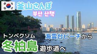 海雲台&広安里を同時に？海雲台海水浴場から自然豊かな冬柏島へ【釜山さんぽ】 vol.62