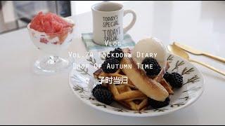 Vlog.74 | Korean Street Toast | Waffles | Dalgona Coffee | BBQ | Sydney·Lock-down Diary