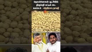 Animal Fat Was Used In Tirupati Laddu, Says Chandrababu Naidu | Jagan Mohan Reddy