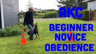 AKC Beginner Novice Obedience BN Exercises Explained and Demonstrated