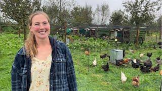 Regeneratieve Landbouw: waardevolle lessen op de natuurboerderij! Op bezoek bij @KipEigen