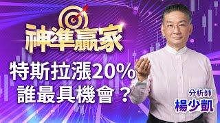 特斯拉漲20%，誰最具機會？｜20240705｜楊少凱 分析師｜神準贏家