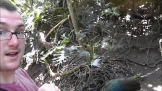 Cary and Katie's day at Zoologico Guadalajara (Guadalajara Zoo)