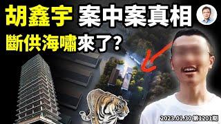 胡鑫宇案中案的真相，我們領會到什麼？大麻煩來了、斷供海嘯要來？（文昭談古論今20230130第1201期）