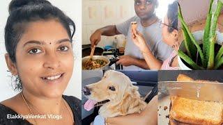 Sunday Vlog I Spl Veg Briyani by Venky I BRUNO is not feeling Well