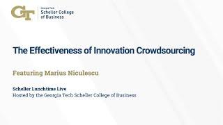 The Effectiveness of Innovation Crowdsourcing, Featuring Professor Marius Florin Niculescu