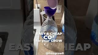 Boost your Buds | Easy & Cheap CO2 for your Grow | Fast Buds Grower Tip by freegrow8 #shorts