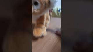 슈퍼펀취!!!!!!!!!!!!!