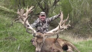 Red Stag Hunting with Brent Moody's Mountain Hunters New Zealand