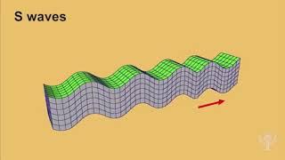 Seismic waves earthquake